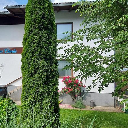 Appartements Das Charlie Ebensee Εξωτερικό φωτογραφία
